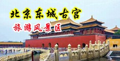 大美女和我捅鸡鸡中国北京-东城古宫旅游风景区